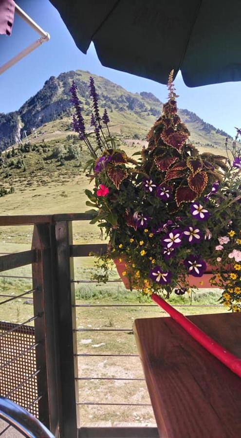Sur Les Pistes Apartment Bagneres-de-Bigorre
